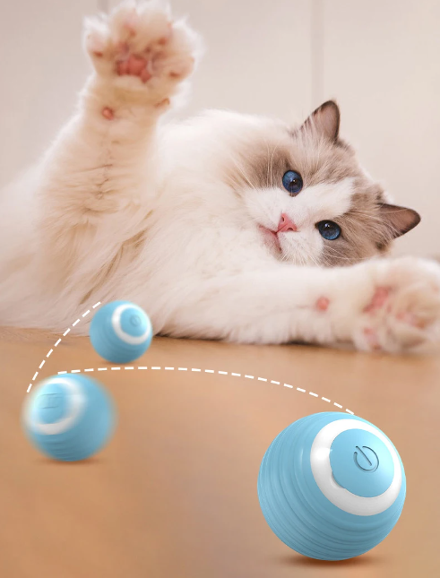 Smart Interactive Ball For Cats